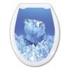 Сиденье для унитаза Океан Кристалл 104-406-11