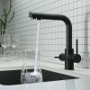 Смеситель для кухни Gross Aqua Ecolife 3120609MB с подключением к фильтру воды черный