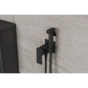 Смеситель c гигиеническим душем встраиваемый RUSH Thira TR3635-99Black
