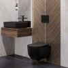 Инсталляция BERGES NOVUM 040265 с двухрежимной кнопкой O5 Soft Touch черная