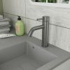 Смеситель для раковины RUSH Melos SUS1101-11Grey Графит, из нержавеющей стали