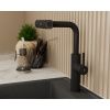 Смеситель для кухни RUSH Tinos TI3732-18Black черный, с выдвижной лейкой, поворотным аэратором, 4 режима