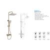 Душевая система с изливом BELZ B24507-5 верхний душ, лейка, золото, Душевые системы с изливом, , BELZ