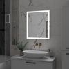 Зеркало Clamm LED 600х700 ЗЛП4790 с сенсором и подогревом, Зеркала сенсорные с подогревом, РОССИЯ, Agava