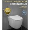 Унитаз подвесной безободковый торнадо Watersense Milana Vortex W01830 48,5х32х35,5 см микролифт
