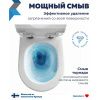Унитаз подвесной безободковый торнадо Watersense Milana Vortex W01830 48,5х32х35,5 см микролифт