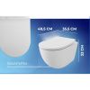 Унитаз подвесной безободковый торнадо Watersense Milana Vortex W01830 48,5х32х35,5 см микролифт