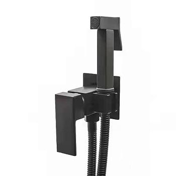Смеситель c гигиеническим душем встраиваемый RUSH Thira TR3635-99Black