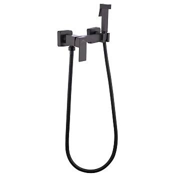 Смеситель для биде FASHUN A7504-17, с гигиеническим душем, SUS304, оружейная сталь (10)