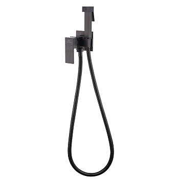 Смеситель для биде FASHUN A7506-17, с гигиеническим душем, встраиваемый, SUS304, оружейная сталь (10)