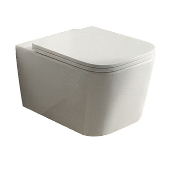 Унитаз подвесной безободковый торнадо Watersense Eva Vortex W01831 49х34х35 см микролифт