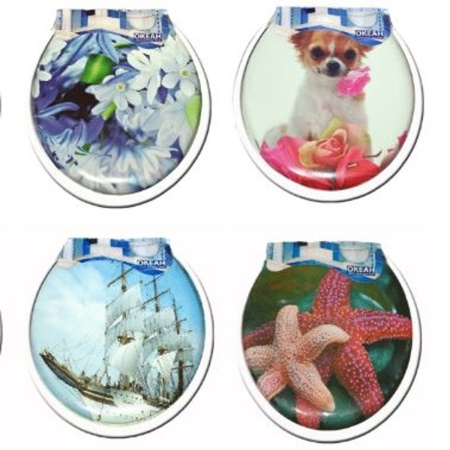 Сиденье для унитаза Океан Комфорт 103-311-01 с рисунком
