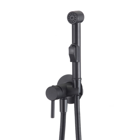 Смеситель для биде Olive's Balear 13141BLB черный