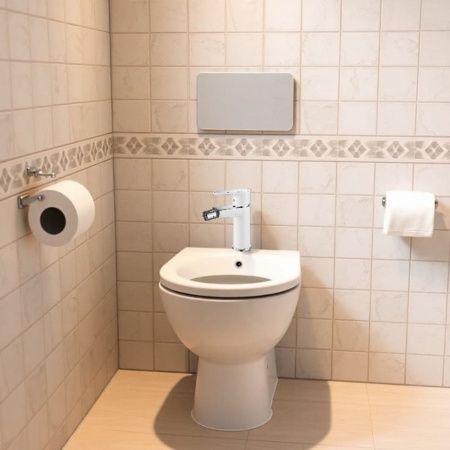 Смеситель для биде Gross Aqua 8515288СW Space White Chrome белый