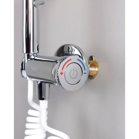 Смеситель для биде DK Bayern Alfeld DA1484541 хром, с гигиенической лейкой, встраиваемый