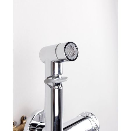 Смеситель для биде DK Bayern Alfeld DA1484541 хром, с гигиенической лейкой, встраиваемый