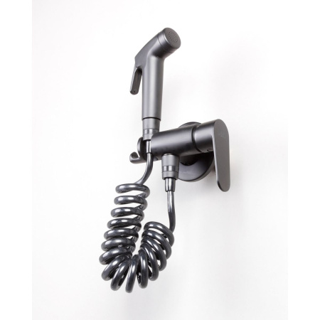 Смеситель для биде DK Rhein Marx DA1394585 черный матовый, с гигиенической лейкой, встраиваемый