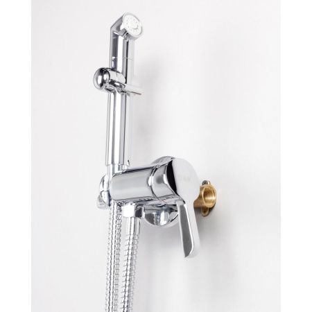 Смеситель для биде DK Rhein Schiller DA1464501 хром, с гигиенической лейкой, встраиваемый