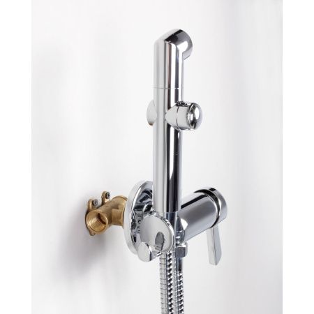 Смеситель для биде DK Rhein Schiller DA1464501 хром, с гигиенической лейкой, встраиваемый