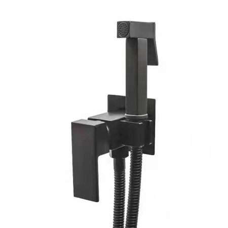 Смеситель c гигиеническим душем встраиваемый RUSH Thira TR3635-99Black