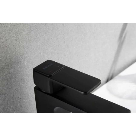 Смеситель для раковины Shevanik S9701H черный