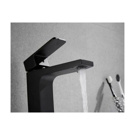 Смеситель для раковины Shevanik S9701H черный