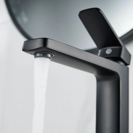 Смеситель для раковины Shevanik S9911H черный