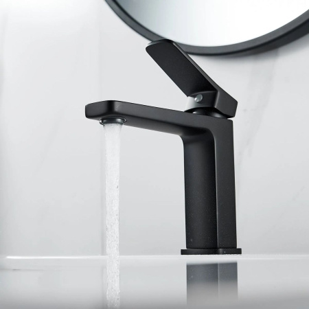 Смеситель для раковины Shevanik S9901H черный