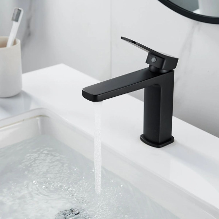 Смеситель для раковины Shevanik S9901H черный