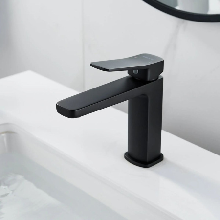 Смеситель для раковины Shevanik S9901H черный