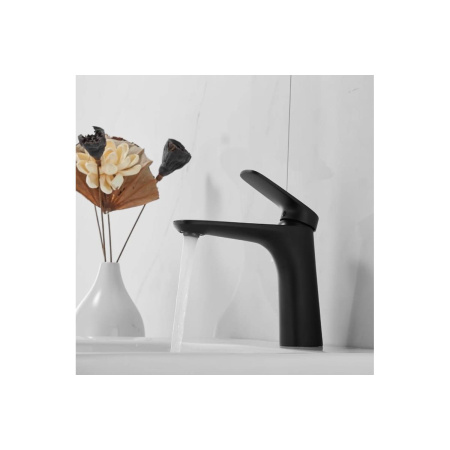 Смеситель для раковины Shevanik S8501H черный