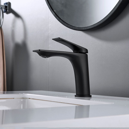 Смеситель для раковины Shevanik S9101H черный