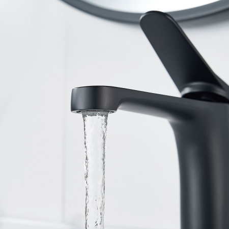 Смеситель для раковины SHEVANIK S6201H черный