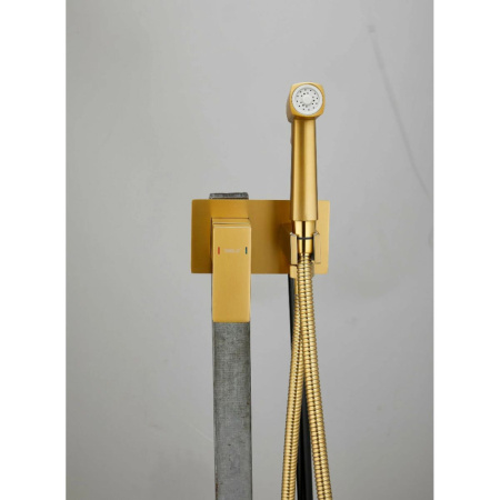 Смеситель с гигиеническим душем BELZ B55808-5 золото, Серия B805 с гигиеническим душем, , BELZ
