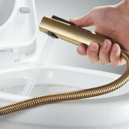 Гигиенический душ Shevanik S9905G-1 матовое золото (8)