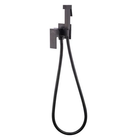 Смеситель для биде FASHUN A7506-17, с гигиеническим душем, встраиваемый, SUS304, оружейная сталь (10)