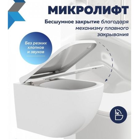 Сиденье для унитаза Watersense Alina QS W01847 дюропласт, с микролифтом, быстросъем, универсальное, ультратонкое