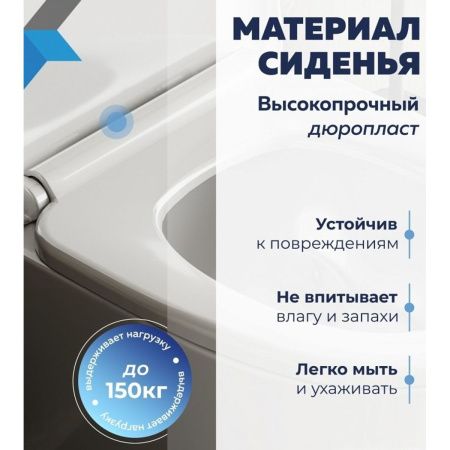 Сиденье для унитаза Watersense Rita Strike W01844 дюропласт, с микролифтом, быстросъем, универсальное