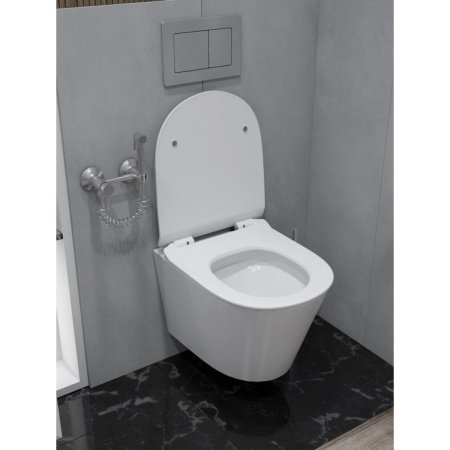 Унитаз подвесной безободковый торнадо Watersense Rita Pro Vortex W00751 52х32х35,5 см микролифт